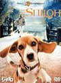 ビーグル犬 シャイロ 特別版 （期間限定）