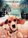 ビーグル犬 シャイロ 特別版 (期間限定)