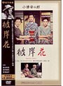 彼岸花 (期間限定)