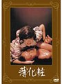 薄化粧 (期間限定)