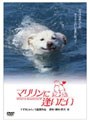 マリリンに逢いたい (期間限定)