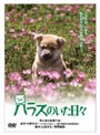 ハラスのいた日々 (期間限定)