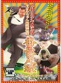  岸和田少年愚連隊 カオルちゃん最強伝説 番長足球でDMMアフィリエイトツール