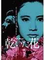  乾いた花でDMMアフィリエイトツール