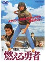  燃える勇者でDMMアフィリエイトツール