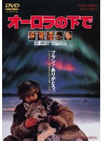 【クリックで詳細表示】オーロラの下で