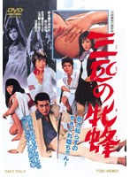 三匹の牝蜂