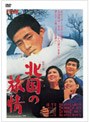  北国の旅情でDMMアフィリエイトツール