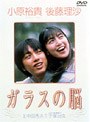  ガラスの脳でDMMアフィリエイトツール
