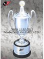  JリーグオフィシャルDVD 2002Jリーグヤマザキナビスコカップ-総集編-でDMMアフィリエイトツール