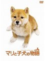  マリと子犬の物語 スペシャル・エディションでDMMアフィリエイトツール