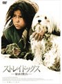 [ワールド・チルドレン・シネマ]ストレイドッグス〜家なき子供たち〜