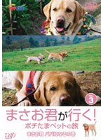�ޤ��������Ԥ����ݥ����ޥڥåȤ�ι VOL.3 �ޤ����� �ѥѤˤʤ�δ�