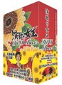  演歌の女王 DVD-BOXでDMMアフィリエイトツール