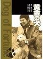  黄金の犬でDMMアフィリエイトツール
