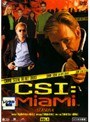  CSI:マイアミ シーズン4 Vol.4でDMMアフィリエイトツール