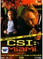  CSI:マイアミ シーズン4 Vol.5でDMMアフィリエイトツール