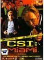 CSI:マイアミ シーズン4 Vol.8