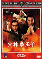 少林拳王子