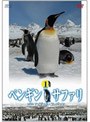 ペンギン・サファリ with ナイジェル・マーヴェン vol.1