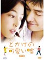 とかげの可愛い嘘