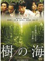 樹の海