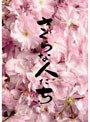  さくらな人たちでDMMアフィリエイトツール