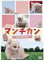 �}���`�J���`�Z���q�L�̕���`[BIBE-8072][DVD]