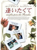 ���������� �ʥ��ޥ���ץ饤����