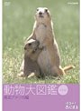  はろ〜あにまる！動物大図鑑 5 南北アメリカ編でDMMアフィリエイトツール