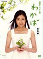  連続テレビ小説 わかば 総集編でDMMアフィリエイトツール