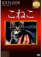 こねこ[IVCA-18003][DVD]