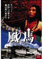  風の馬でDMMアフィリエイトツール