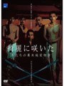 綺麗に咲いた 男たちの幕末純愛物語
