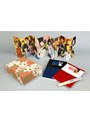 完全予約生産限定 DVD-BOX「ヒカルの碁」全集