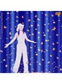  安室奈美恵/NAMIE AMURO TOUR‘GENIUS 2000’でDMMアフィリエイトツール