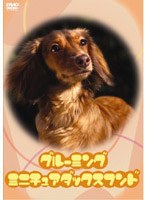 �O���[�~���O �~�j�`���A�_�b�N�X�t���h