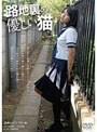  路地裏の優しい猫 赤坂REDTHEATER版でDMMアフィリエイトツール