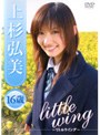 �������/little wing