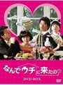  なんでウチに来たの？ DVD-BOXでDMMアフィリエイトツール