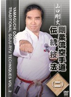 剛柔流空手 伝統技法 二