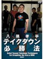  八隅孝平 The 投げでDMMアフィリエイトツール