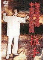 中国意拳精髄 推手