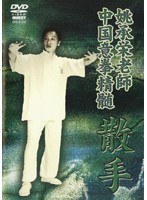 中国意拳精髄 散手