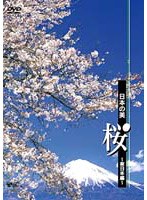 日本の美 桜 <東日本>