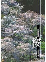 日本の美 桜 <西日本>