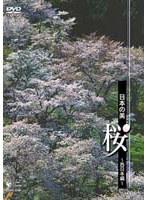 日本の美 桜〜西日本編〜