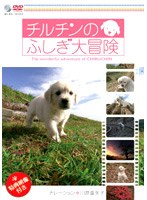 チルチンのふしぎ大冒険
