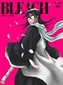  BLEACH 破面・VS.死神篇 2でDMMアフィリエイトツール