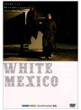 WHITE MEXICOでDMMアフィリエイトツール